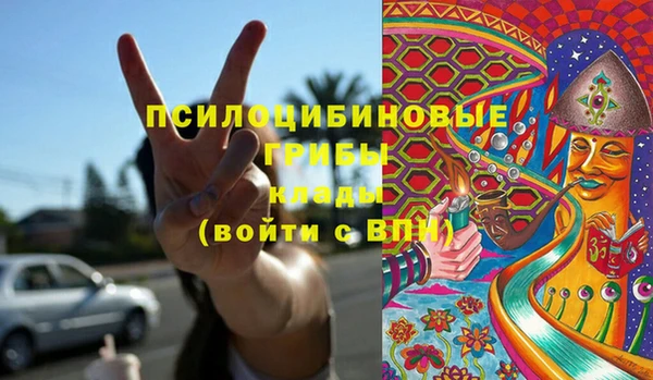 спиды Алексин